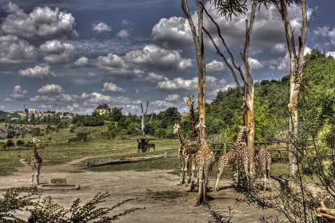 ZOO Praha