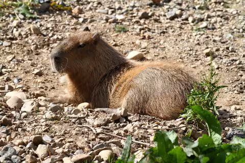 nerušit ...