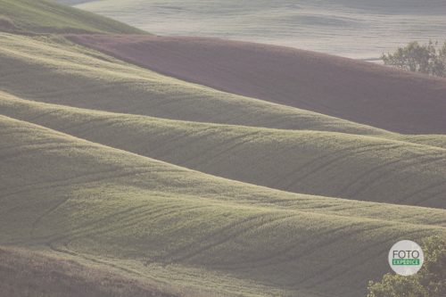 Původní fotografie přímo z RAWu, příklad fotografie Canon a objektiv 400 mm Toskánsko, fotoexpedice